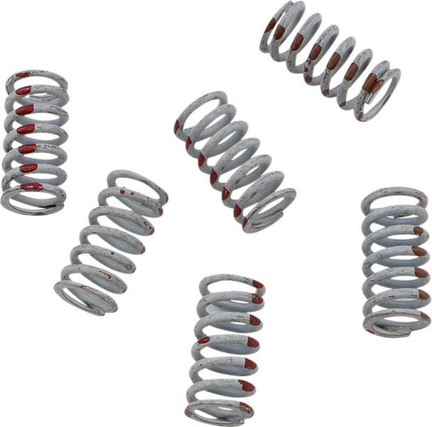 Kg Powersports - KGS057 - Clutch Spring Set