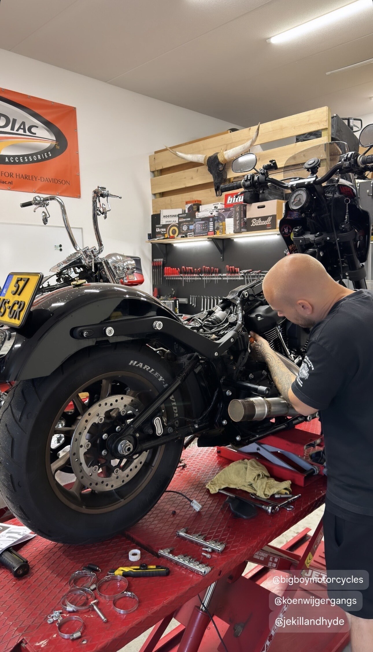 Low Rider S detail photo