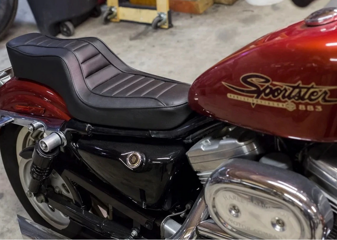 Saddlemen & Hog Killers Collaboration - Deadbeat Customs