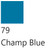 7' Champ Blue Felt - Championship Invitational