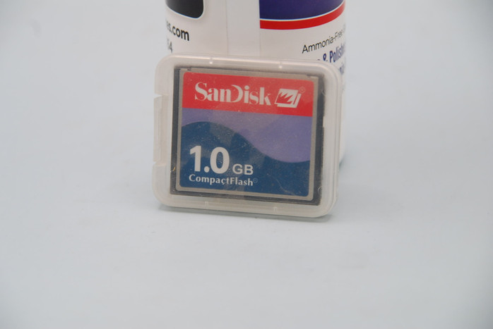 SANDISK (1GB)