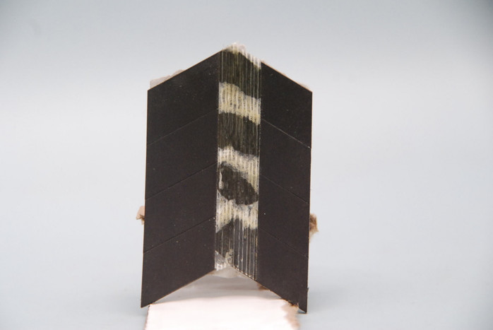 Magnet (Lethal Enforcer)