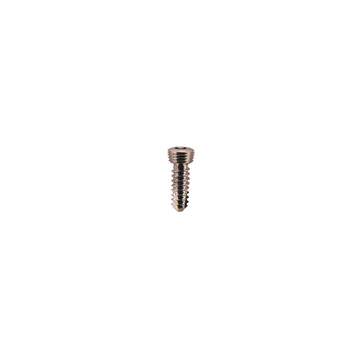 Product Everost 2.4mm Locking Screw T8, Ss | SAH.EV122406 Image