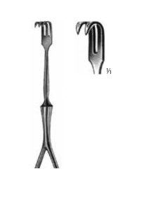 Product Vet Spectrum Volkmann Retractor, 4.5in (11.5cm), 2 Prongs, Sharp | SAH.760328 Image