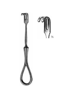 Product Vet Spectrum Volkmann Retractor, 4.5in (11.5cm), 2 Prongs, Blunt | SAH.760329 Image