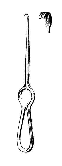 Product Spectrum Volkmann Retractor, 8.5in (21.5cm), 2 Prongs, Blunt | SAH.20-1077 Image