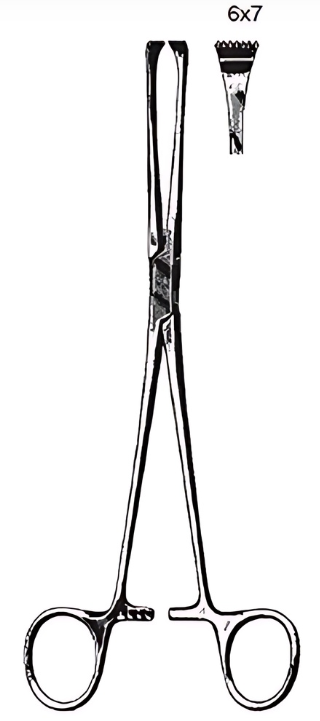 Product Spectrum Thoms-Allis Tissue Forcep, 8in. (20cm) 6x7 Teeth, Left Handed | SAH.60-3874LH Image