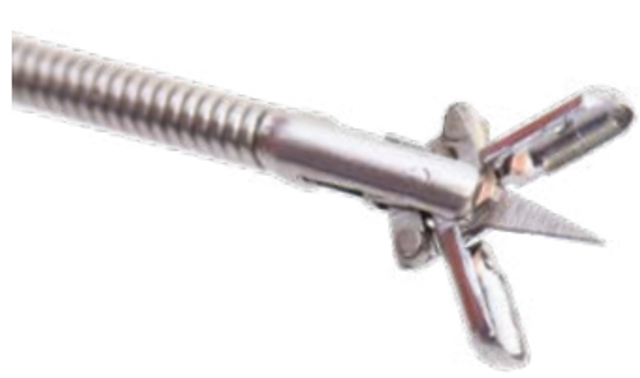 Product Spectrum Biopsy Forcep, Flexible, 2.3mm X 350cm, Oval With Needle | SAH.3790 Image