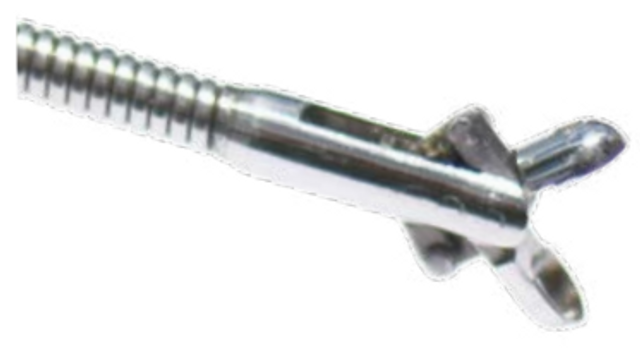 Product Spectrum Biopsy Forcep, Flexible, 2.3mm X 350cm, Round | SAH.3796 Image