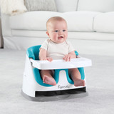 Ingenuity Baby Base 2-in-1 Seat