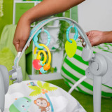 Bright Starts Playful Paradise Portable Swing