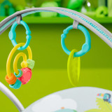 Bright Starts Playful Paradise Portable Swing