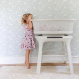 4Moms Mamaroo Sleep Bassinet 4Moms Mamaroo Sleep Bassinet