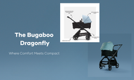 Discovering Excellence: Bugaboo Dragonfly Stroller - Where Comfort Meets Compact