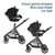 Buy Maxi Cosi Zelia Luxe 5-in-1 Travel System Online - Babies Nz