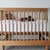 Cariboo George Cot