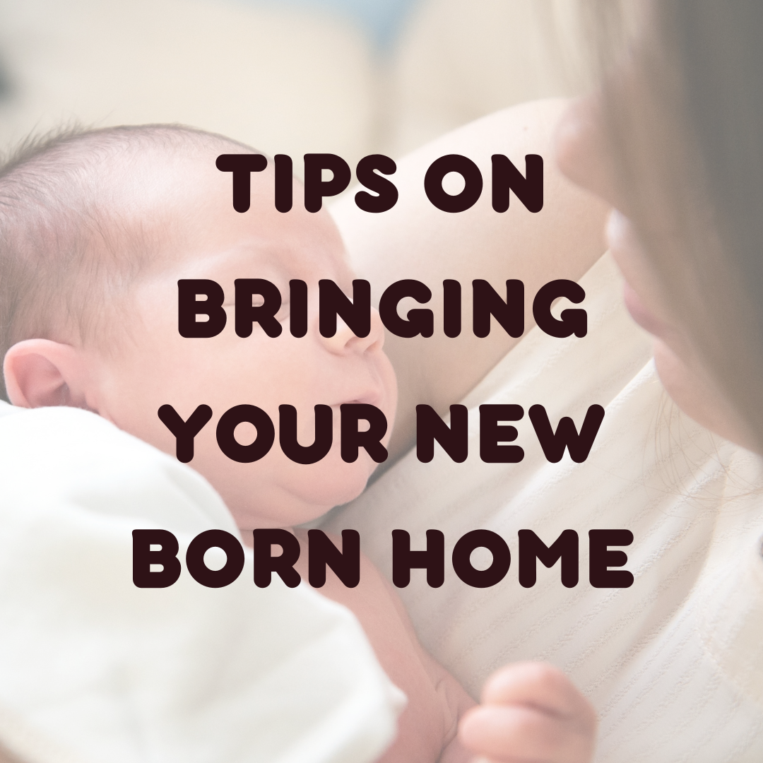 The Journey Your Newborn Home Babies.co.nz