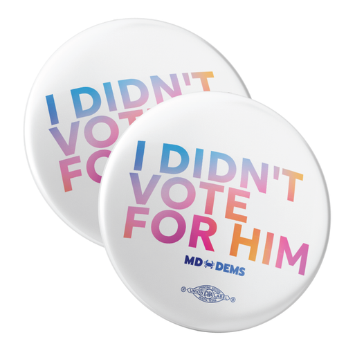 I Didn't Vote For Him - Rainbow (2.25" Pin-Back Button -- Pack Of Two!)