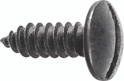 License Plate Screw Slotted Truss Head 14 x 3/4"