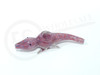 6" CROCODILE HADN PIPE (15579) | ASSORTED COLORS (MSRP $12.00)