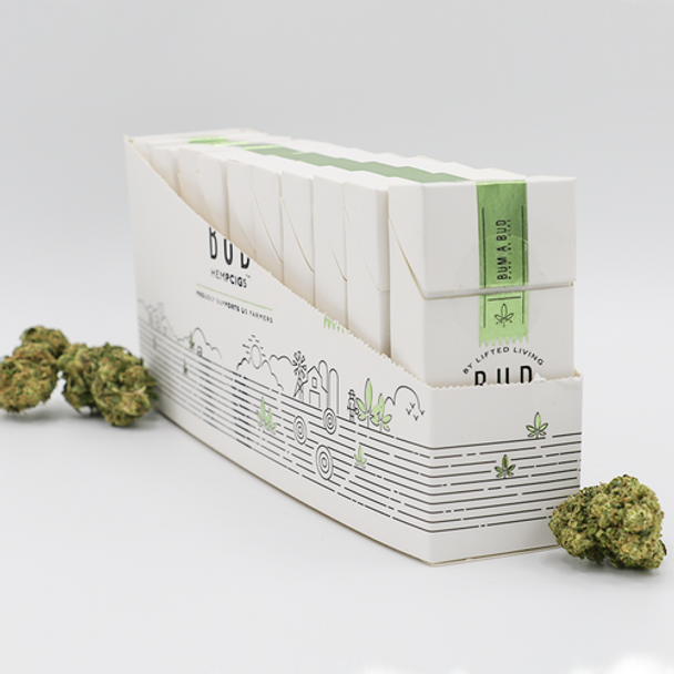 BUD™ HEMPCIGS - REGULAR 1200 MG | DISPLAY OF 10 (MSRP $14.95/each)