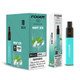 FOGER 2500 PUFFS DISPOSABLE VAPE 5% NICOTINE | DISPLAY OF 10 (MSRP $20.00 Each)