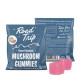 ROAD TRIP DESERT STARDUST MUSHROOM VEGAN GUMMIES 2CT | DISPLAY OF 30 (MSRP $)