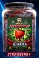 ROCK IT - 1200MG CRD EXOTIC BLEND GUMMY JAR | DISPLAY OF 70 (MSRP $)