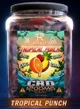 ROCK IT - 1200MG CRD EXOTIC BLEND GUMMY JAR | DISPLAY OF 70 (MSRP $)