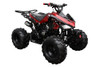 Coolster ATV-3125CX-2 / 125CC Fully Automatic Mid Size