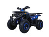 TaoTao Raptor 200 Utility ATV, Air Cooled, 4-Stroke, 1-Cylinder, Automatic Blue