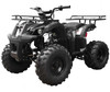 Taotao TForce 135D 110cc Mid Size ATV, Air Cooled, 4-Stroke, 1-Cylinder, Automatic with Reverse - Black