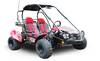 Trailmaster ULTRA BLAZER 200 Go Kart High Back seats, Live Rear Axle, Upgraded Carb, Double A-Arms, Coil Over Shocks - Red