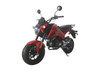 TaoTao New Arrival! HELL CAT 125cc Motorcycle with Manual Transmission, Electric Start, 12" Alloy Rim Wheels Red