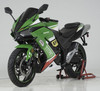 Vitacci TITAN 250 EFI Motorcycle, Manual 6 Speed (CA Approved) - Green