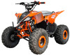 Vitacci PIONEER 125cc ATV for sale  Auto with Reverse
