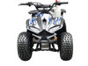 Vitacci RXR 110cc Atv,Automatic with Reverse, single cylinder, 4 stroke, air-cooled - Blue