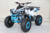 Trailmaster C125 125cc Atv, 4 Stroke, Automatic With Reverse, Single Cylinder