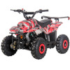 DongFang 110cc (DF110AVA) Gas ATV With 6-inch Wheel, Electric Start, Remote Shut Off Switch