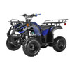Coolster ATV-3125R KODIAK-HD 125CC ATV with REVERSE Big 16" Tire, 125CC Single Cylinder, 4-Stroke, Air-Cooled- Fully Assembled and Tested
