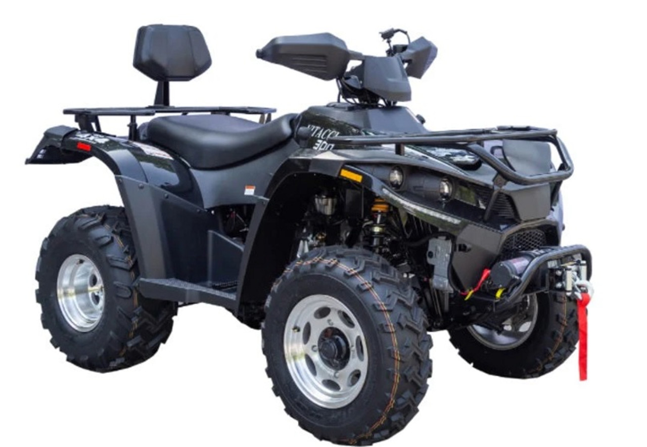 Rps Brand New 300Cc Atv 4X4 Carburetor, With Rear Seat Bluetooth & Winch