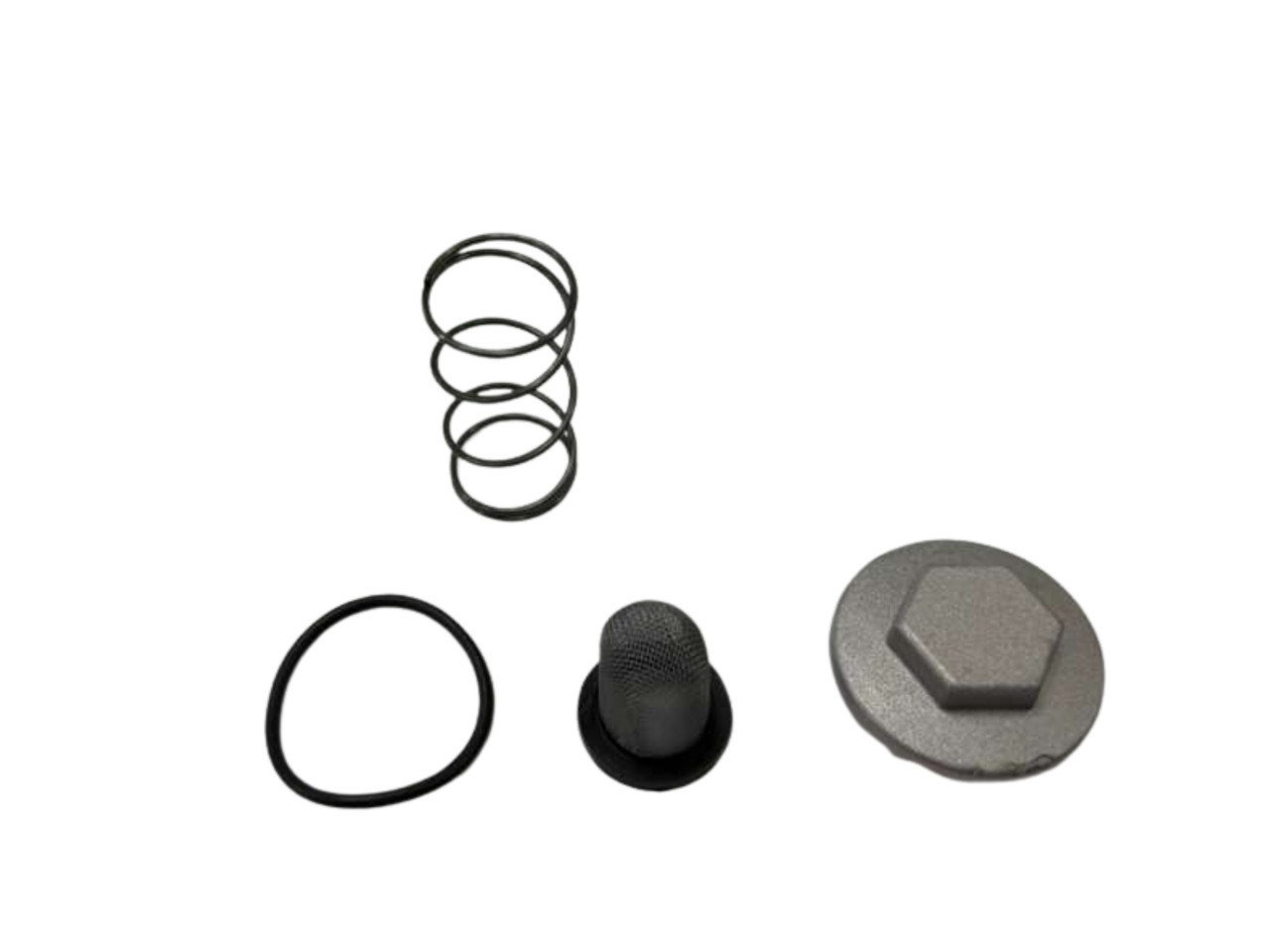Oil Drain Screw with Oil Filter & Spring for 250cc Zongshen PR250 Engine Dirt Bike Pit Bike