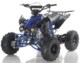AffordableAtv has Best Trail Master Utility Vehicles
