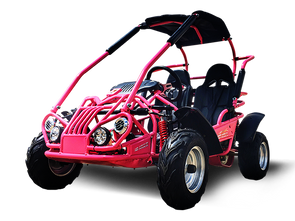 Why the TrailMaster Cheetah 3 Is a Good Starter Go Kart for Young Riders?