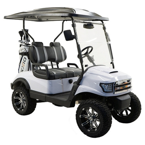 MASSIMO MGC2 48V GOLF CART UTV, 48V AC MOTOR MASSIMO MGC2 48V GOLF CART UTV, 48V AC MOTOR