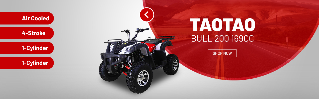 TAOTAO ATV BULL 150 RHINO 250 ATA 150 D ATA 250 D BULL 200 REAR AXLE