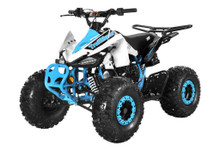TrailMaster K125 Youth Sports ATV – 125cc Automatic with Reverse Assembled Version