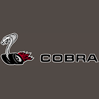QUARTER PANE DECAL LH 1970 FORD TORINO COBRA REAR LEFT SIDE (DF522)