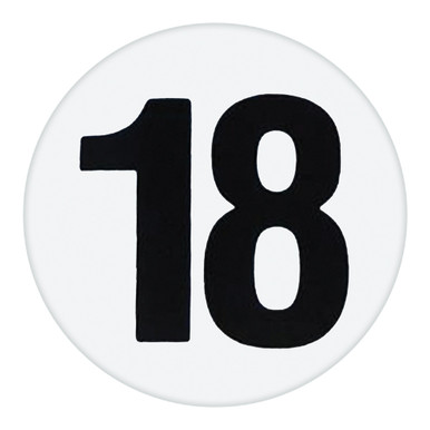DECAL DAY 18 FACTORY PRODUCTION WINDSHIELD STICKER 1962-75 MERCURY ...