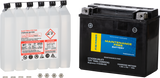 FIRE POWER Maintenance Free Sealed Battery for PWC / Personal Watercraft | CTX20H-BS-FT | 49-3034